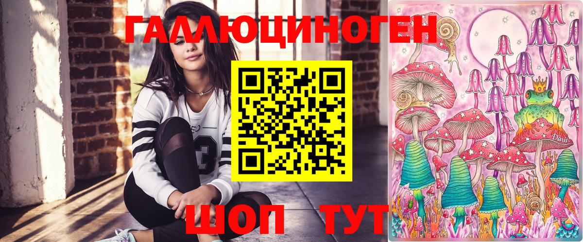Ахтубинск  Псилоцибиновые грибы MAGIC MUSHROOMS  Вход с VPN 
